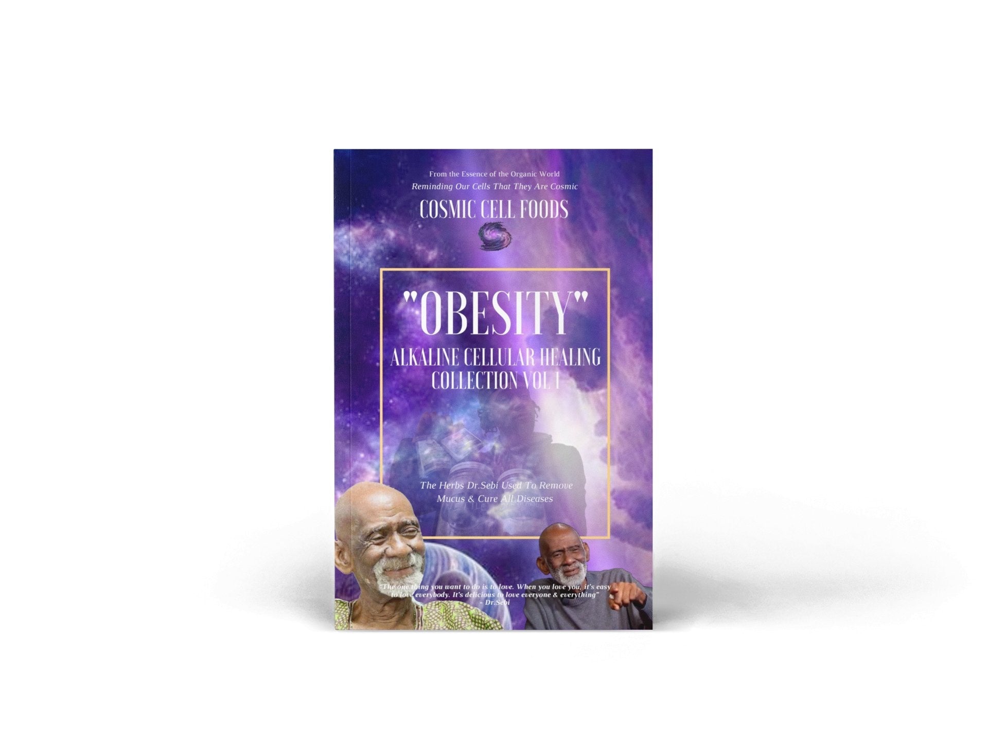 "OBESITY" Alkaline Cellular Healing Collection Vol 1 - BOOK 8 - The Cosmic Chef